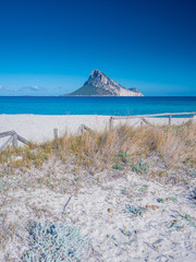 Clear water of sardinian beachs with view on Tavolara island