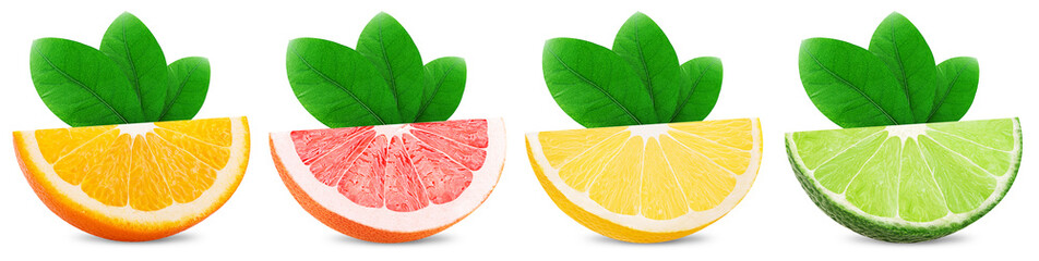 Citrus slices orange, lemon, lime, grapefruit with leaf