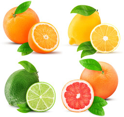 Fresh orange, lemon, lime, grapefruit whole and cut in half slice with leaf