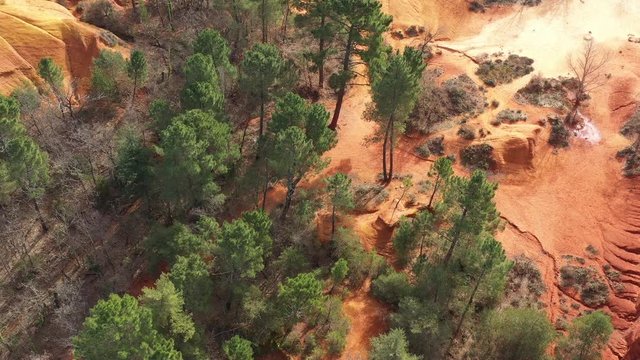 Pine trees aerial view red soil ochre France colorado provencal Rustrel 