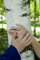 The palms of the bride and groom with wedding rings on a birch after the wedding