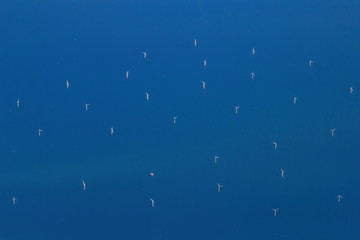 Sunny aerial sky landscape from and airplane window seat