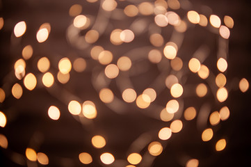 The background is a golden bokeh of the glare of garland lights. Defocus