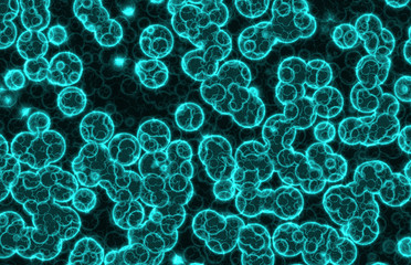 round colored cells 