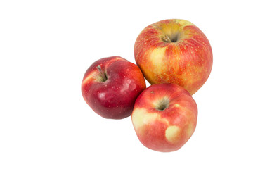 Fresh apples on white. Isolated elements for design layouts.