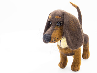 toy dachshund isolated on white background
