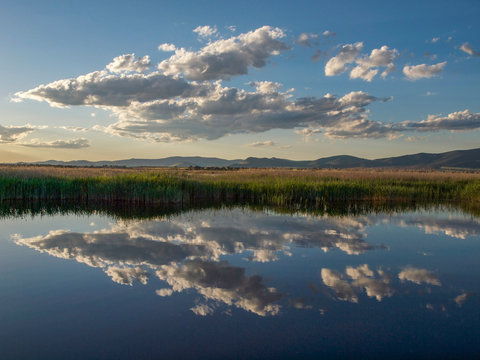Nubes reflejadas en la laguna de Las Tablas de Daimiel al atardecer