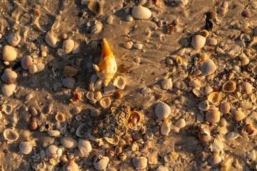 oceans textures at sunset