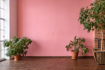 Fotobehang Per kamer Room interior with pink stucco wall and wooden floor  © spritnyuk