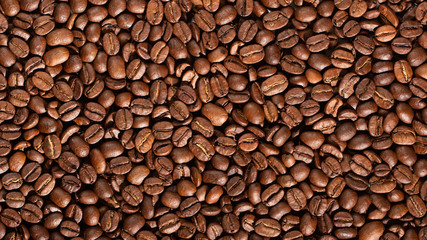 Texture of coffee seeds, selective focus, close-up