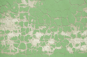 Fototapeta premium old green wall with chipped paint