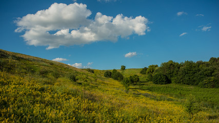 White clouds on a blue sky above a meadow in a hilly area.