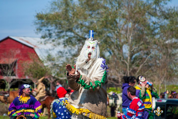 Courir de Mardi Gras  Chicken Chasing in Mamou Louisiana © Lane