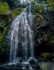 Fototapeta na wymiar Stunning Little Mashel Falls surrounded by vegetation in Eatonville Pierce County Washington State
