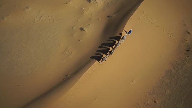 WS POV ZO Tuareg man with camel train in desert at Morocco