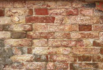  Old red brick wall with remains of white lime paint