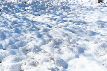 River of Snow-Covered Ground Desert Vegetation in Countryside