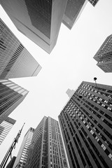 look up in New York City, skyscrapers in black and white