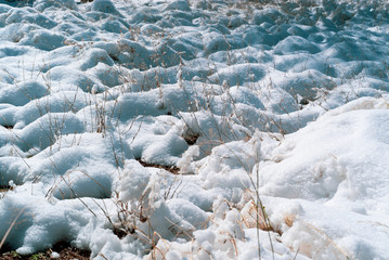 Melting Snow Covering Desert Vegetation in the Countryside