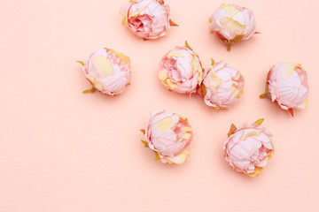 Fototapeta na wymiar Floral and soft background, artificial cream peony buds on a pink background