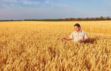 farmer standing in a wheat field