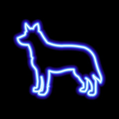 Blue neon sign of dog on black background