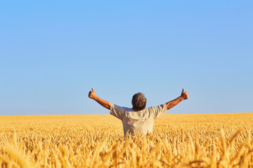 happy farmer, businessman, standing in wheat field with his hands and thumbs up