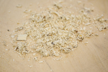 wood shavings on light plywood
