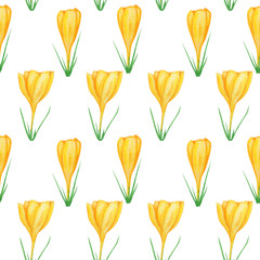Seamless pattern Yellow Crocus, hand drawn watercolor botanical illustration. Beautiful spring flower. Floral fabric texture on white background. For greeting card, invitation, poster, banner design.