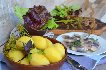 Boiled potatoes with salted fish and dill on russian style table
