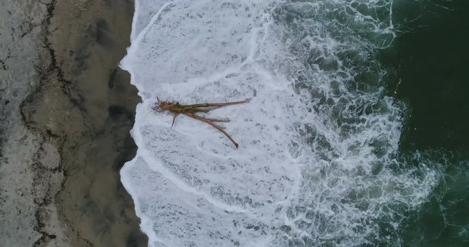 Drone footage of waves splashing on driftwood at beach, Tayrona National Park, Colombia