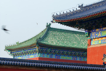 Fototapeta na wymiar birds under architectural details of China Temple of Heaven complex