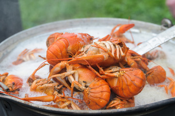 boiled crayfish