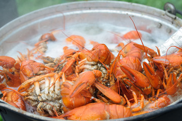 boiled crayfish