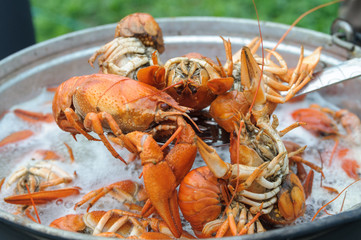 boiled crayfish