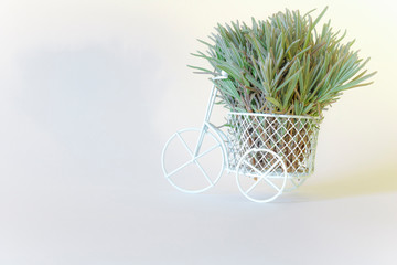 White miniature Bicycle decorated with green lavender branches on a white background. Aromatherapy. The dried flowers