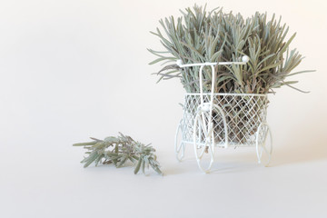White miniature Bicycle decorated with green lavender branches on a white background. Aromatherapy. The dried flowers