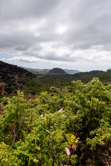 Fototapeta na wymiar Volcanic landscape of Misterios Negros, Terceira, Azores, Portugal