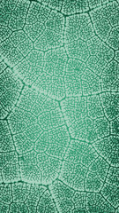 Wallpaper leaf light green pattern vertical