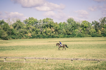 Brown Horse and Rider Trotting Through Green Field