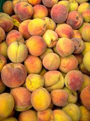 Fresh Picked Peaches