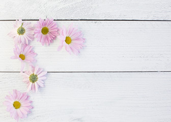 Pink flowers and tiny green leaves on a bright white vintage white background that feels perfect for a party or shower invitation