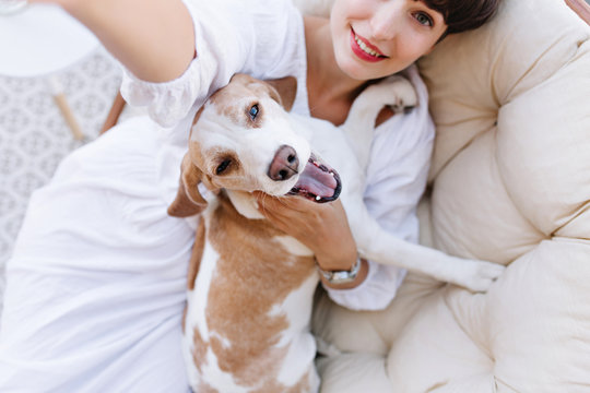 Girl with gray eyes and charming smile lies on soft sofa and making selfie with her pet. Indoor photo from above of brunette lady relaxing with funny beagle dog.