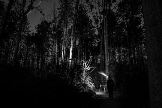 Homme sur un chemin en for&ecirc;t &eacute;clairant des arbres avec une lampe frontale - Myst&egrave;re et peur dans l'obscurit&eacute; - Magie et &eacute;sot&eacute;risme - Noir et blanc
