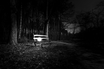 Orbe, source de lumière ronde sur une vieux banc en bois  au milieu d'une forêt - Mystère et...