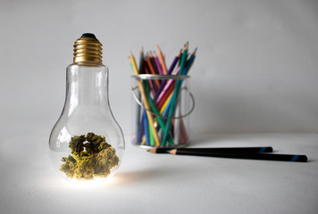 Cannabis in a Lightbulb with Colored Pencils. Creativity and Inspiration Concept.  White Space. © MaryJaynePhotography
