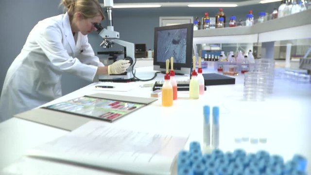 TU, TD, MS lab tech looking into a microscope connected to a monitor 