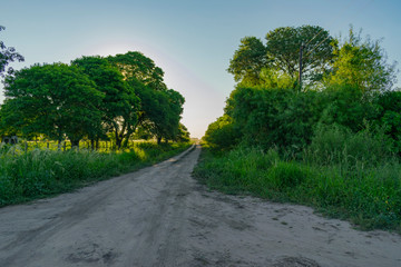 Cruce de Caminos Rurales