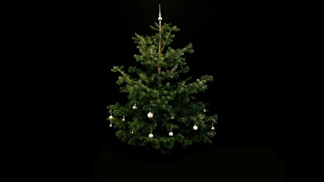 WS, Lockdown, T/L, Studio Shot of ornaments and lights appearing on a Christmas tree and presents