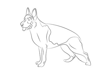 Fototapeta premium German Shepherd Dog. Vector outline stock illustration realistic lines silhouette for logo, print,tattoo, coloring book.